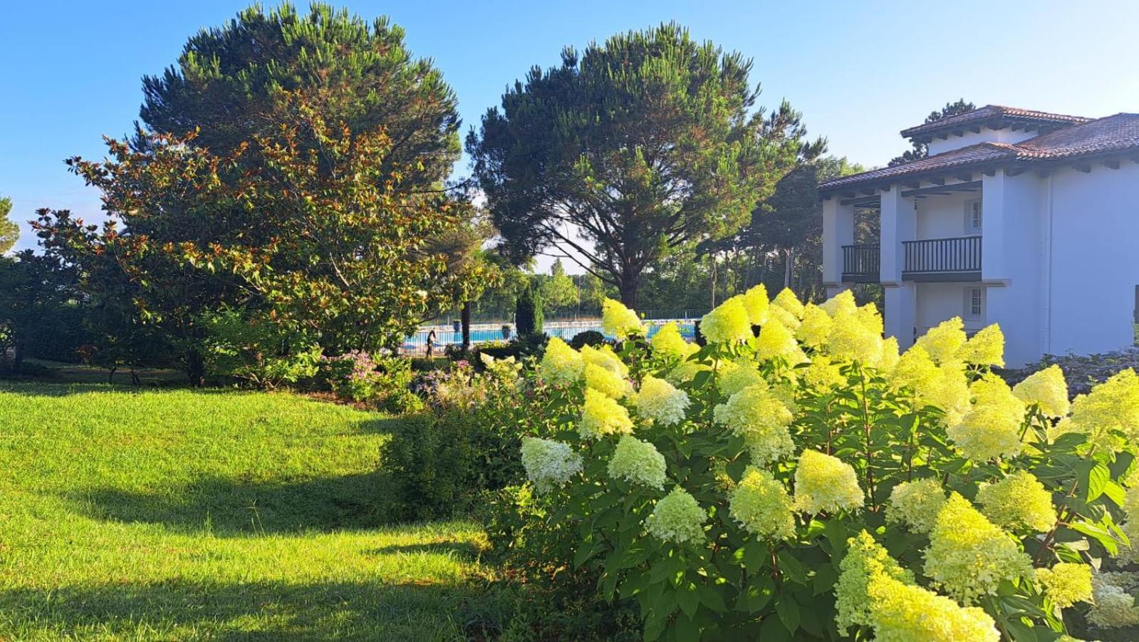 Atlantic Selection - Domaine De Bordaberry - Terrasse & Superbe Piscine Urrugne Exterior foto
